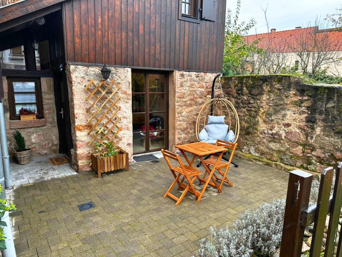 Le Petit Chataignier - Cozy Immo Châtenois Exteriér fotografie