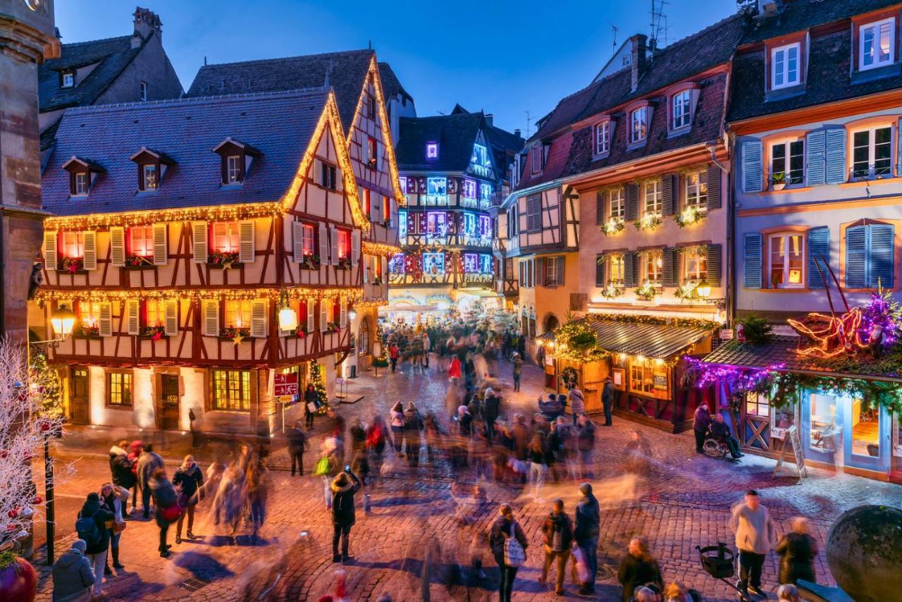 Le Petit Chataignier - Cozy Immo Châtenois Exteriér fotografie