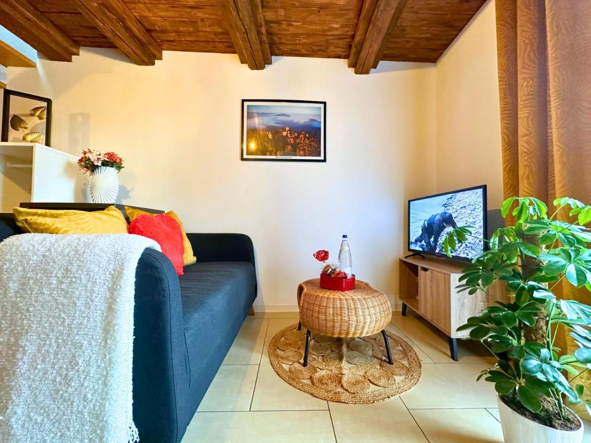 Le Petit Chataignier - Cozy Immo Châtenois Exteriér fotografie