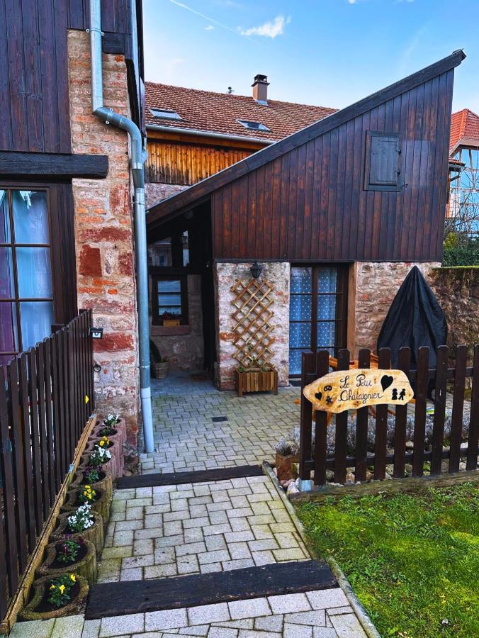 Le Petit Chataignier - Cozy Immo Châtenois Exteriér fotografie
