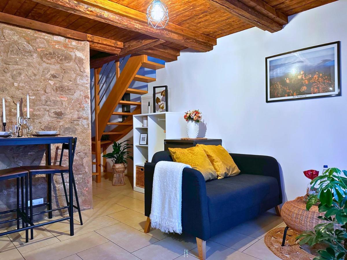 Le Petit Chataignier - Cozy Immo Châtenois Exteriér fotografie