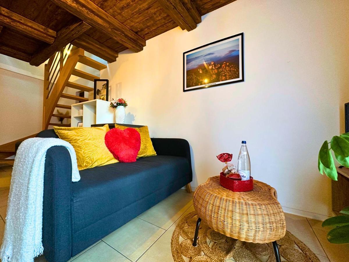 Le Petit Chataignier - Cozy Immo Châtenois Exteriér fotografie