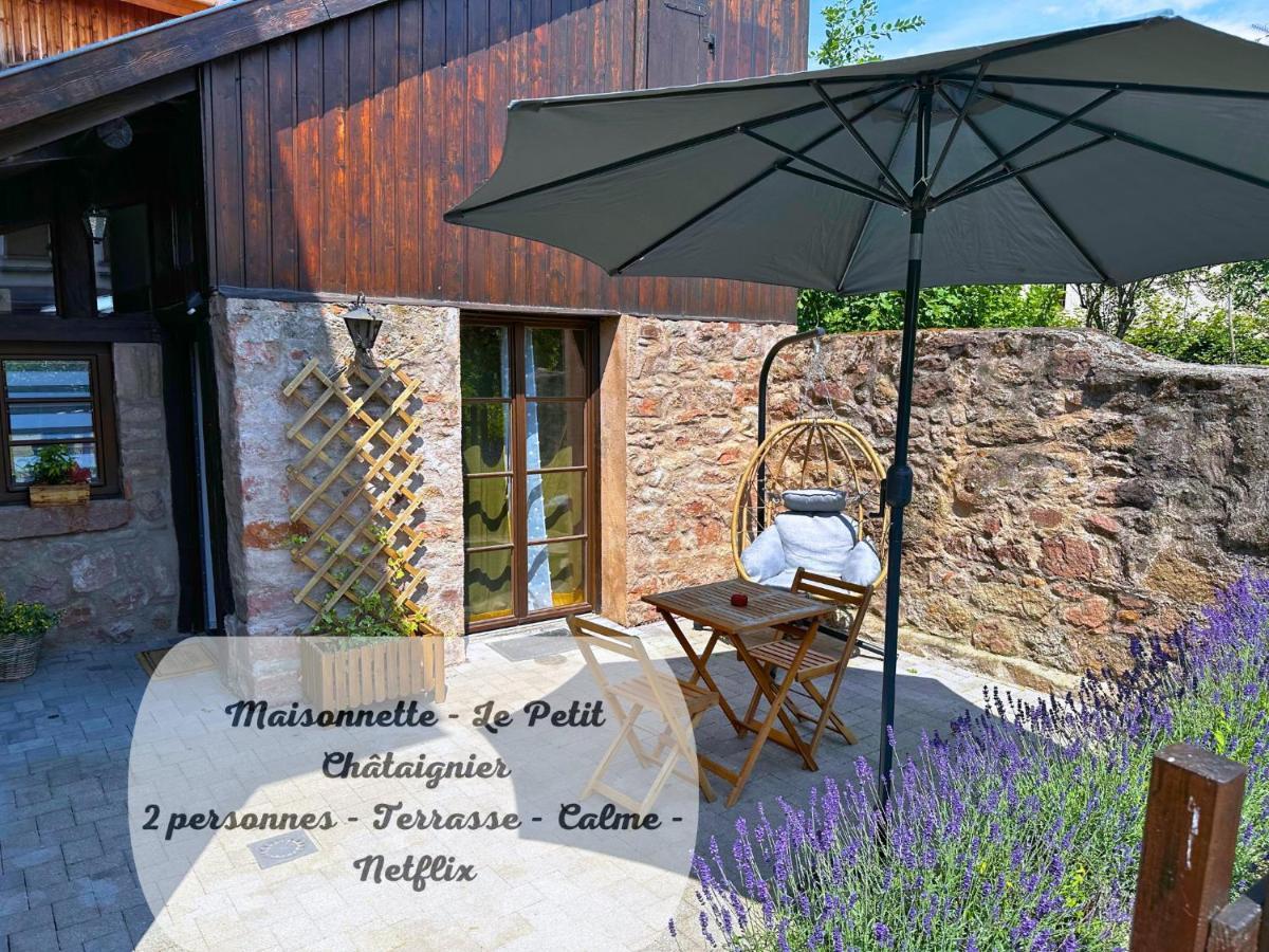 Le Petit Chataignier - Cozy Immo Châtenois Exteriér fotografie
