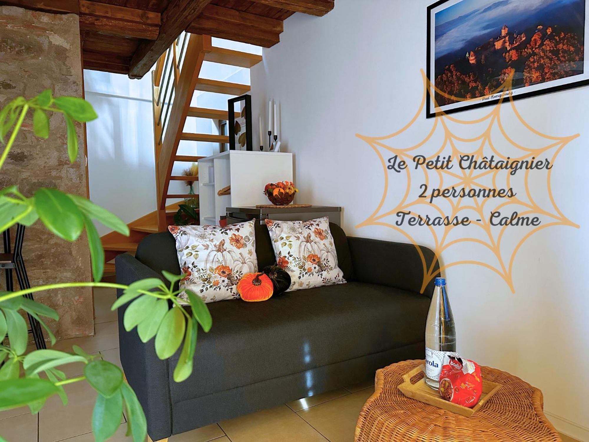 Le Petit Chataignier - Cozy Immo Châtenois Exteriér fotografie